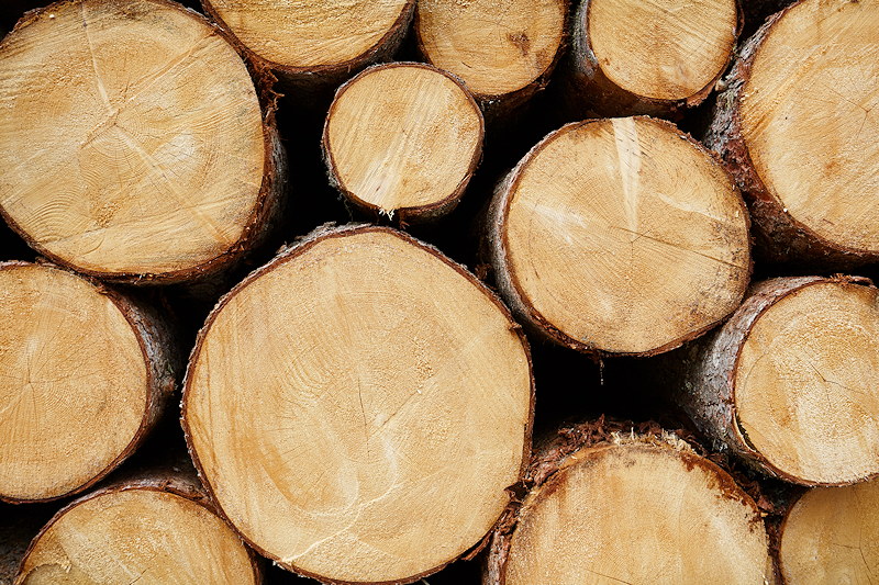 photo-lumber